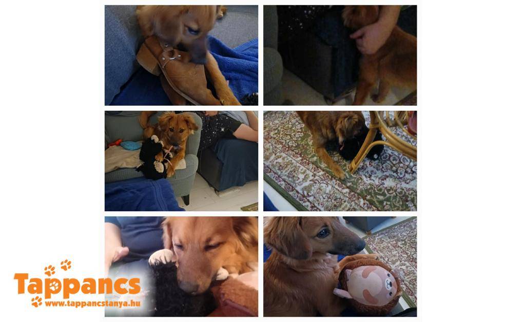 Vannak szupi játékaim